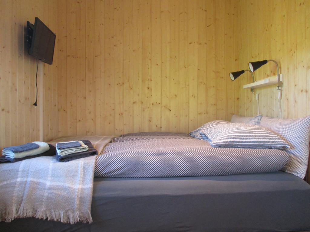 Laekjaborgir Guesthouse Kálfafell Oda fotoğraf